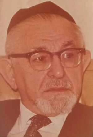 Rabbi Shimon Langer